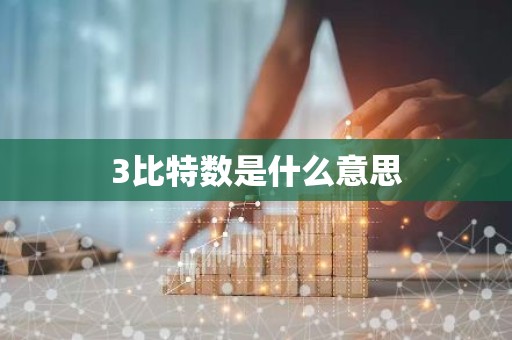 3比特数是什么意思