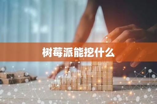 树莓派能挖什么
