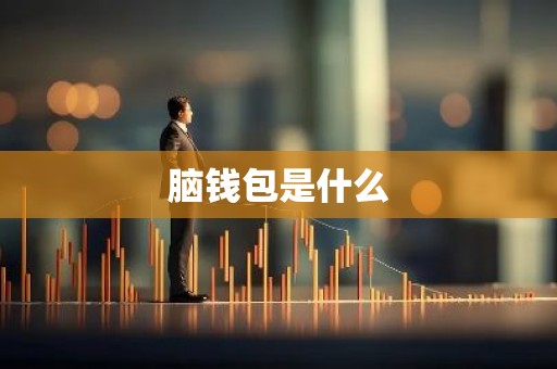 脑钱包是什么