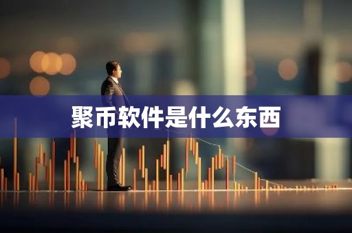 聚币软件是什么东西