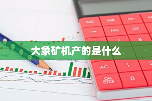 大象矿机产的是什么