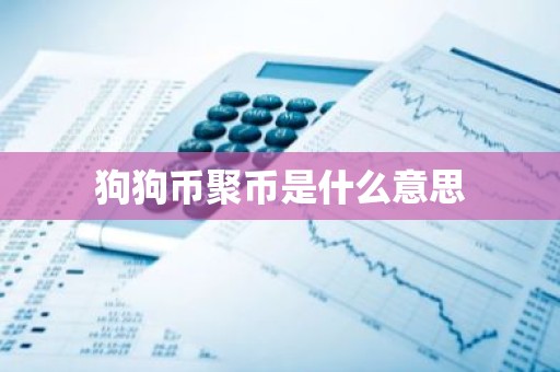 狗狗币聚币是什么意思