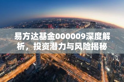 易方达基金000009深度解析，投资潜力与风险揭秘