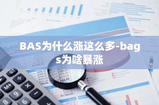 BAS为什么涨这么多-bags为啥暴涨