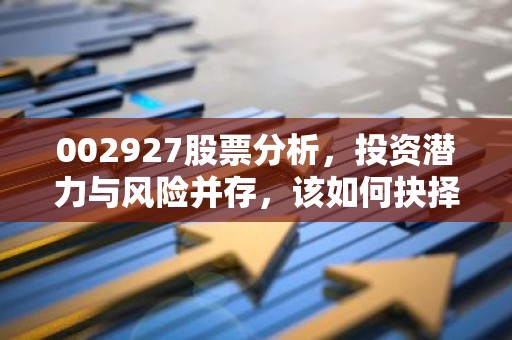 002927股票分析，投资潜力与风险并存，该如何抉择？