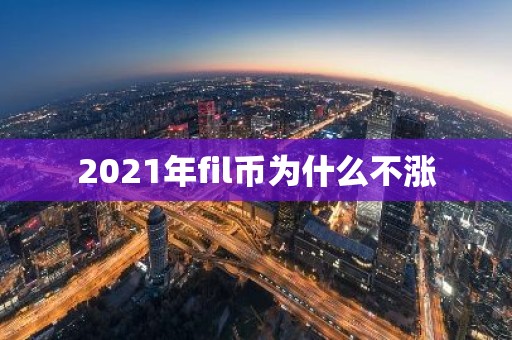 2021年fil币为什么不涨