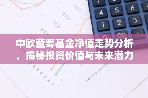 中欧蓝筹基金净值走势分析，揭秘投资价值与未来潜力
