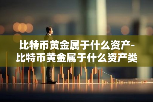 比特币黄金属于什么资产-比特币黄金属于什么资产类型