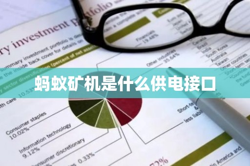 蚂蚁矿机是什么供电接口