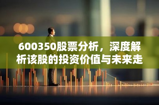 600350股票分析，深度解析该股的投资价值与未来走势