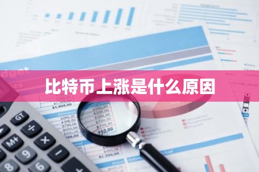 比特币上涨是什么原因