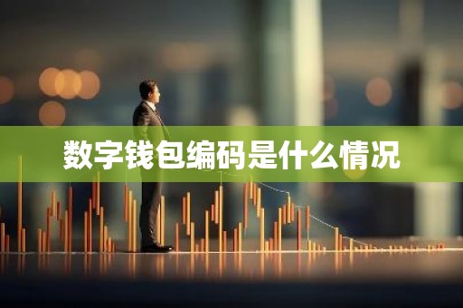 数字钱包编码是什么情况