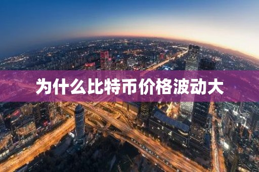为什么比特币价格波动大