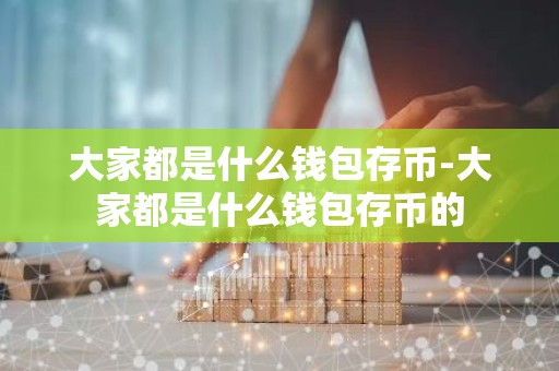 大家都是什么钱包存币-大家都是什么钱包存币的