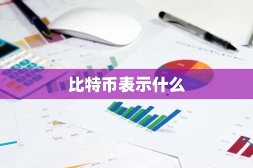 比特币表示什么