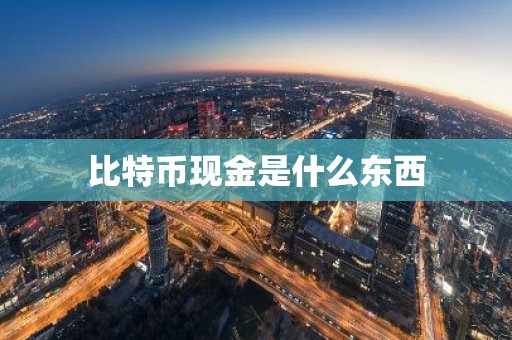 比特币现金是什么东西