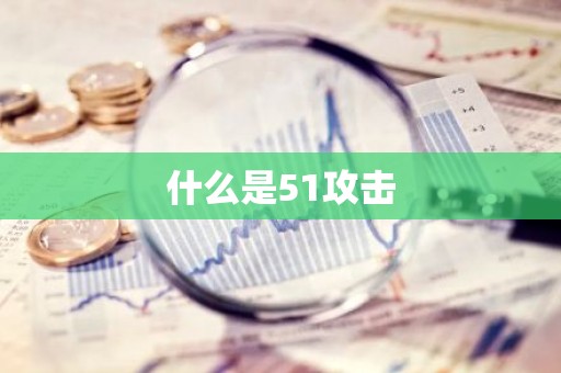 什么是51攻击