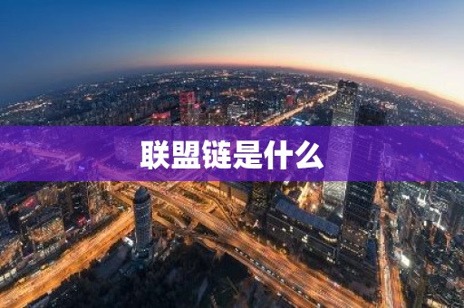 联盟链是什么