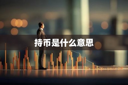 持币是什么意思