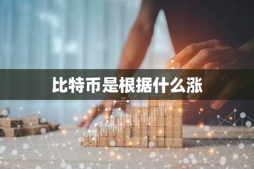 比特币是根据什么涨