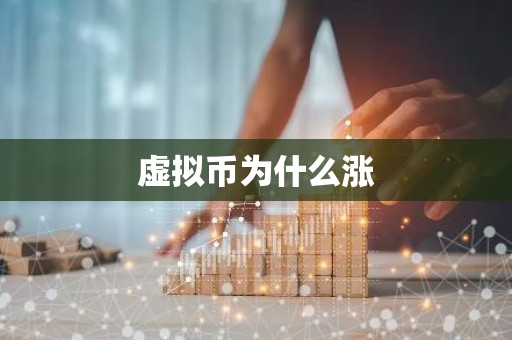 虚拟币为什么涨