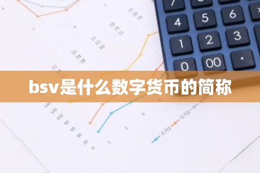 bsv是什么数字货币的简称