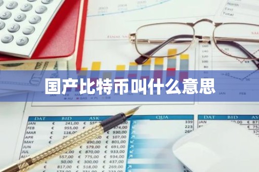 国产比特币叫什么意思