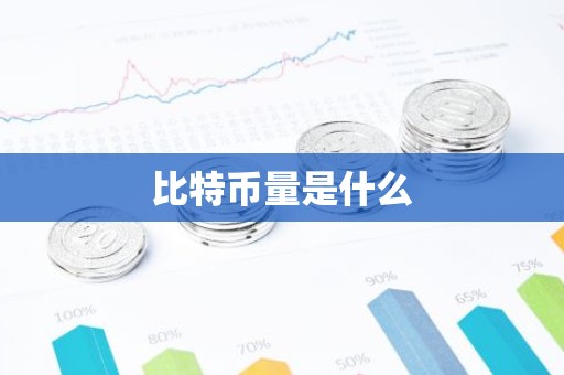 比特币量是什么