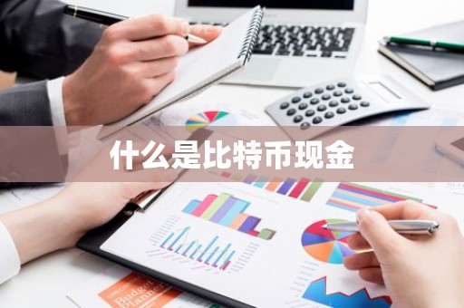 什么是比特币现金