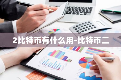 2比特币有什么用-比特币二
