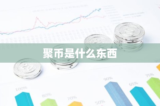 聚币是什么东西