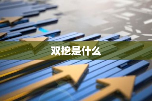 双挖是什么