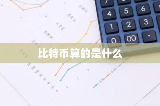 比特币算的是什么