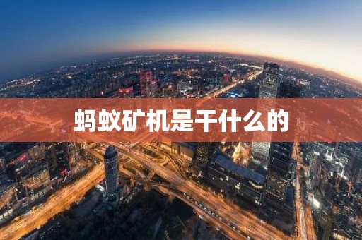 蚂蚁矿机是干什么的