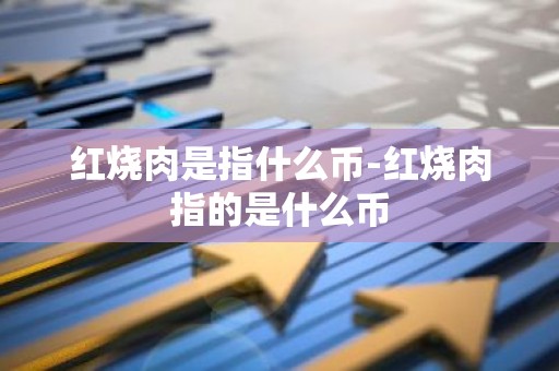 红烧肉是指什么币-红烧肉指的是什么币