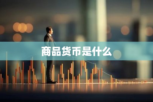商品货币是什么