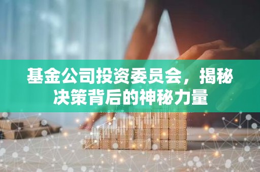 基金公司投资委员会，揭秘决策背后的神秘力量