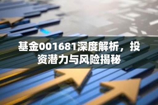 基金001681深度解析，投资潜力与风险揭秘