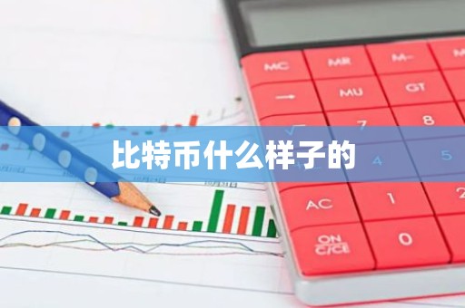 比特币什么样子的