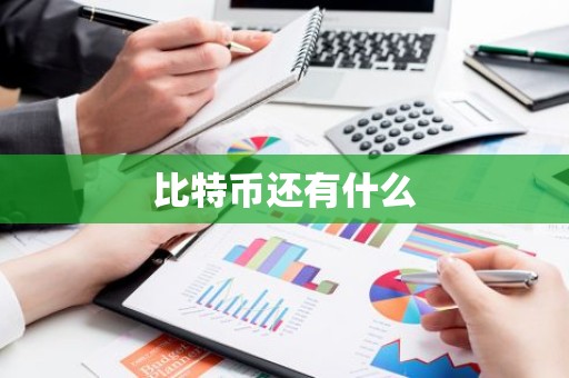 比特币还有什么