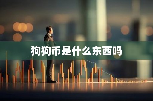 狗狗币是什么东西吗