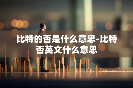 比特的否是什么意思-比特否英文什么意思