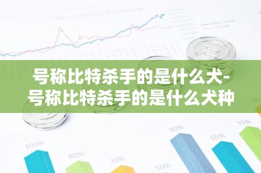 号称比特杀手的是什么犬-号称比特杀手的是什么犬种