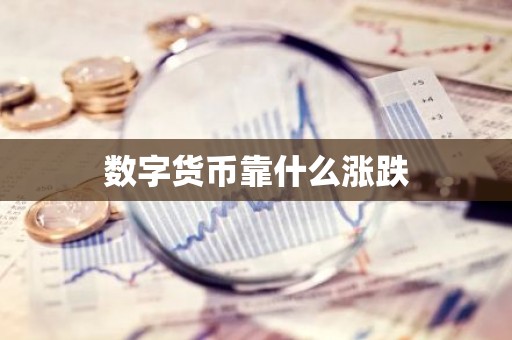数字货币靠什么涨跌