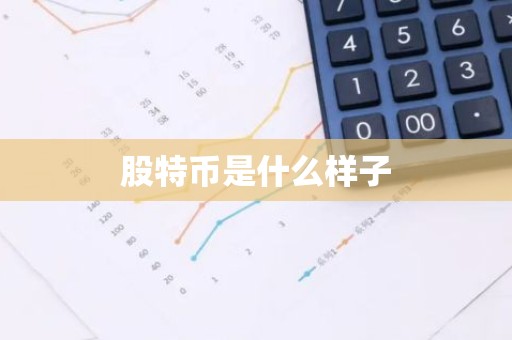 股特币是什么样子