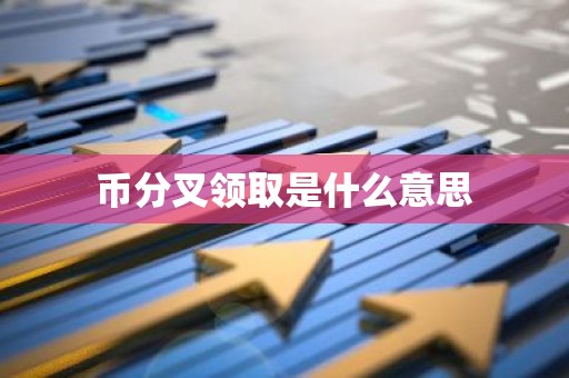 币分叉领取是什么意思