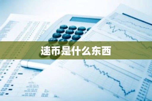 速币是什么东西
