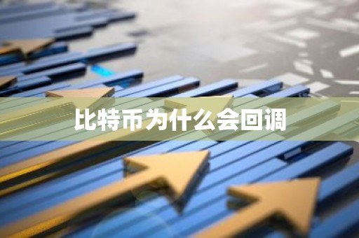 比特币为什么会回调