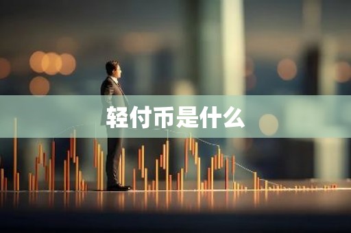 轻付币是什么