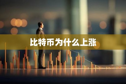 比特币为什么上涨